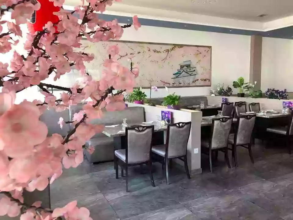 Sakura - Restaurant Tarbes - restaurant Asiatique TARBES