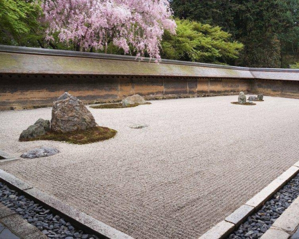 Culture - Sakura - Restaurant Tarbes - Sushi Tarbes