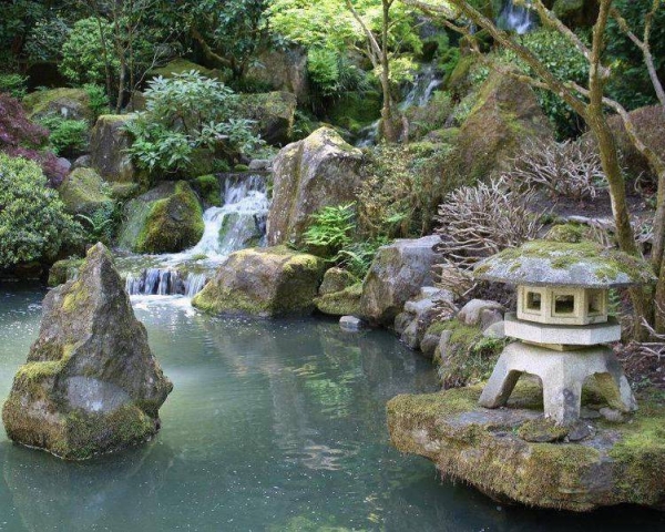 Culture - Sakura - Restaurant Tarbes - restaurant Poisson TARBES