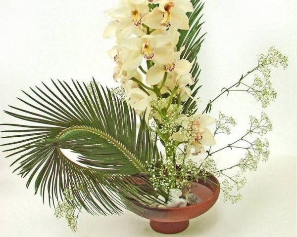 Culture - Sakura - Restaurant Tarbes - restaurant TARBES