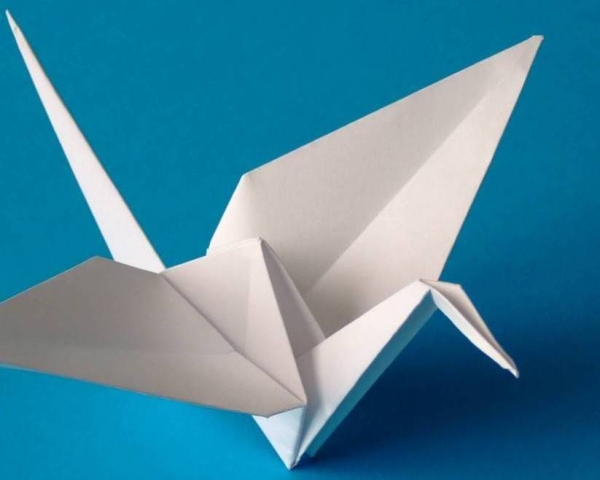 Culture - Sakura - Restaurant Tarbes - bon restaurant TARBES