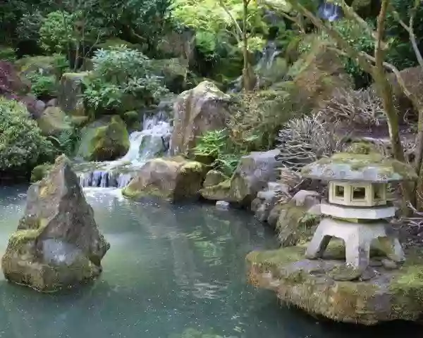 Culture - Sakura - Restaurant Tarbes - Restaurant grill Tarbes