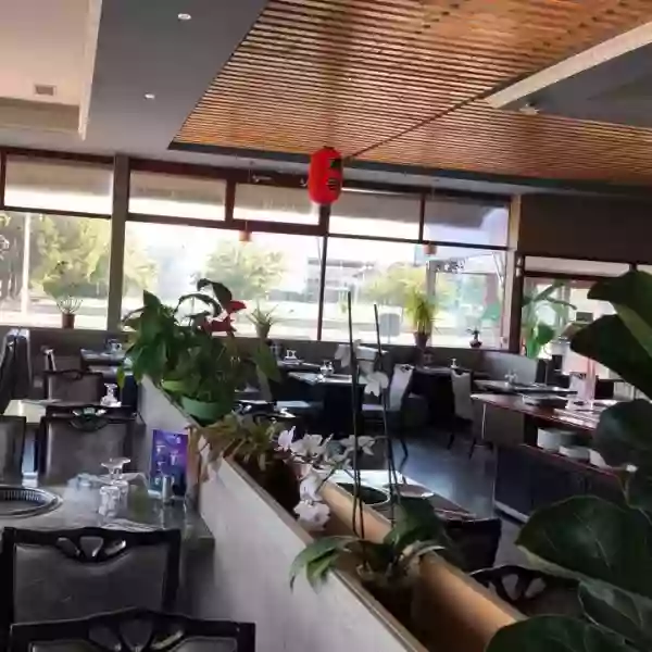 Sakura - Restaurant Tarbes - top restaurant TARBES